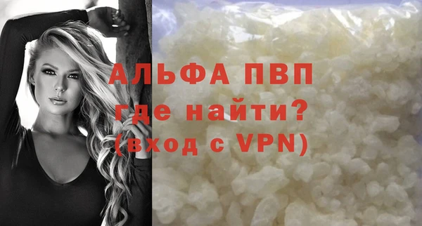 гидра Кодинск