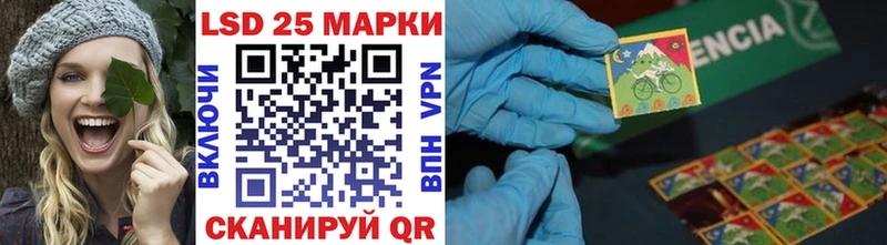blacksprut как войти  Козельск  Марки N-bome 1,8мг  даркнет сайт 